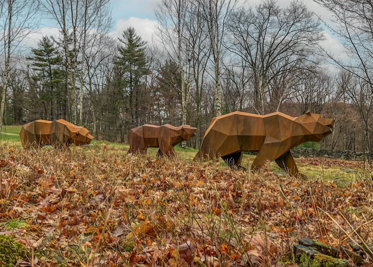 Bear Mama & Cubs