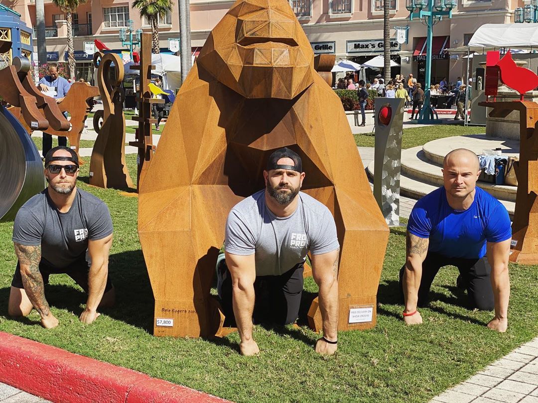 Gorilla