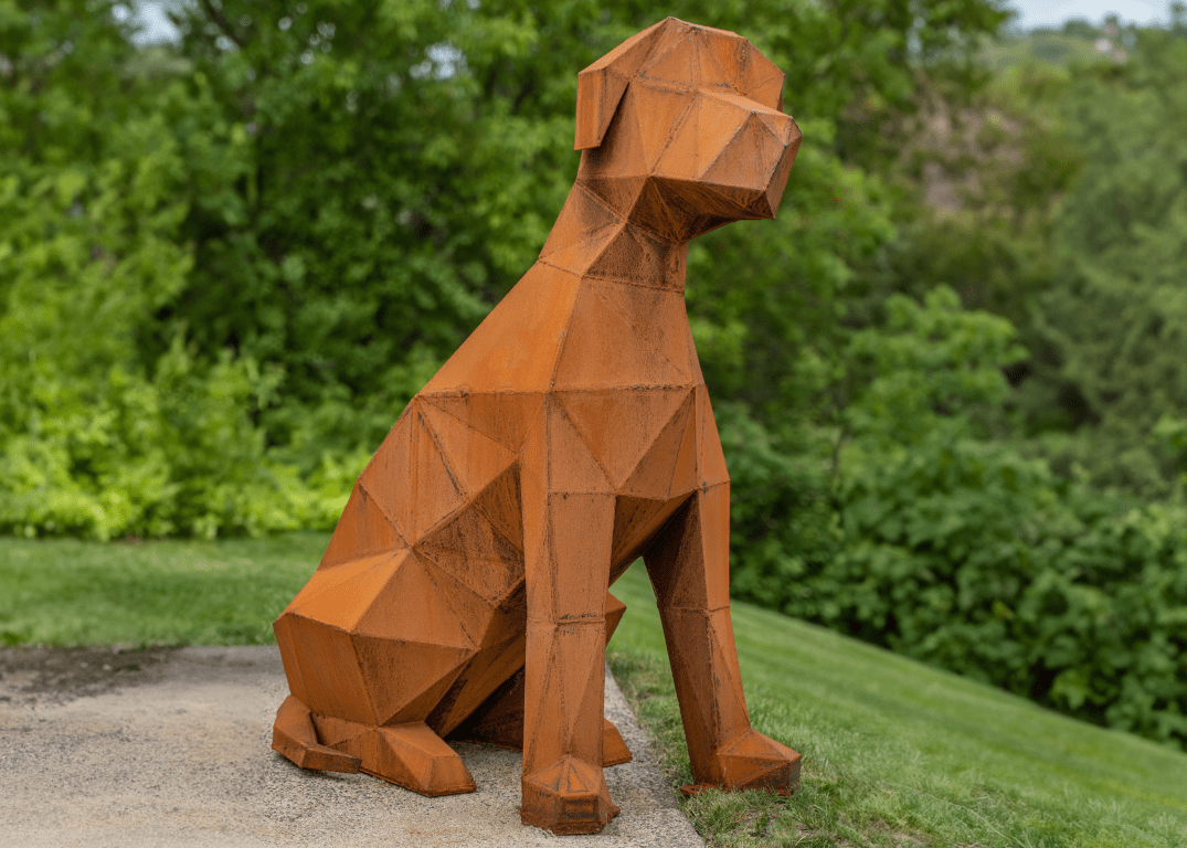 Sitting dog