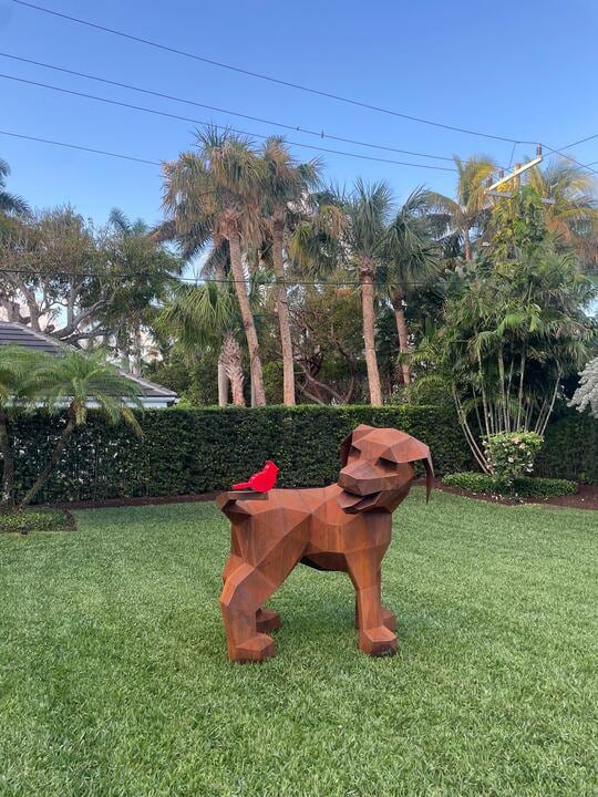 Bird Dog