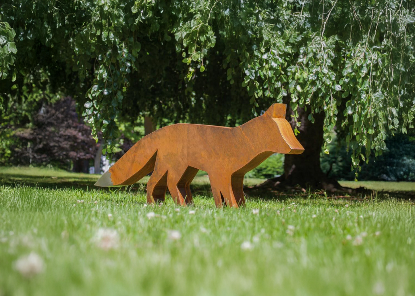 Fox