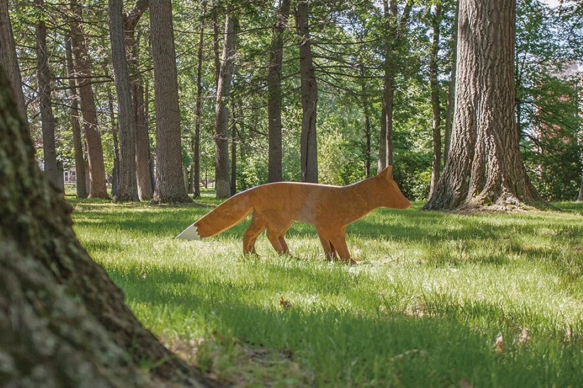 Fox