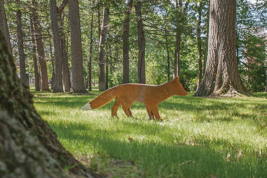 Fox