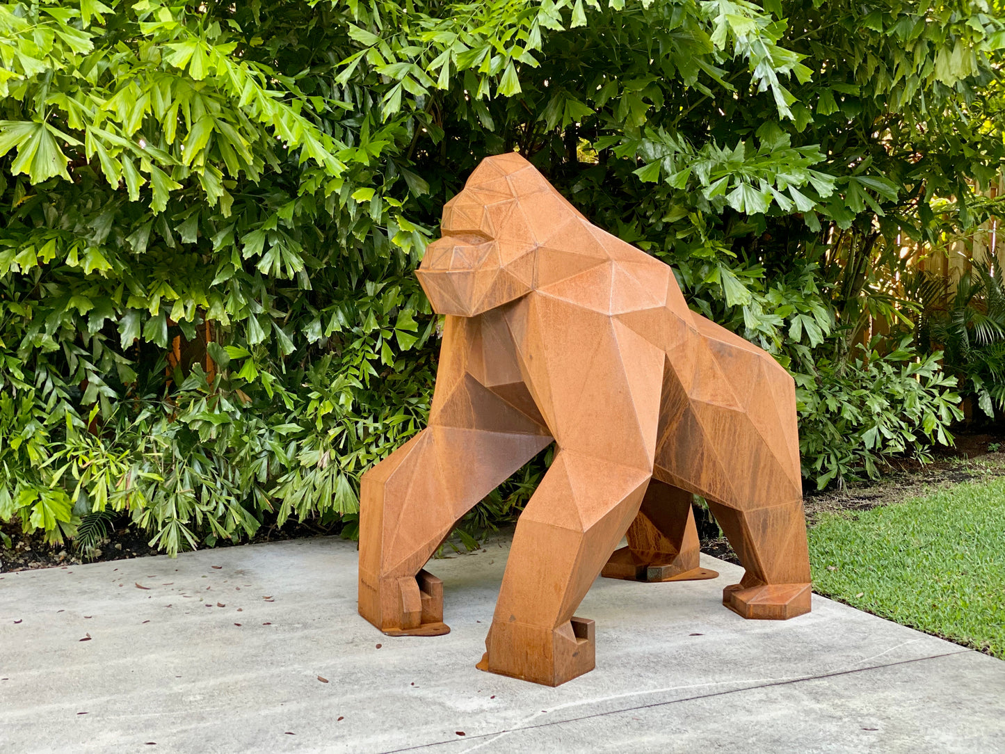 Gorilla