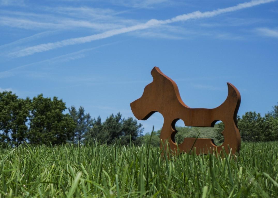Toy dog