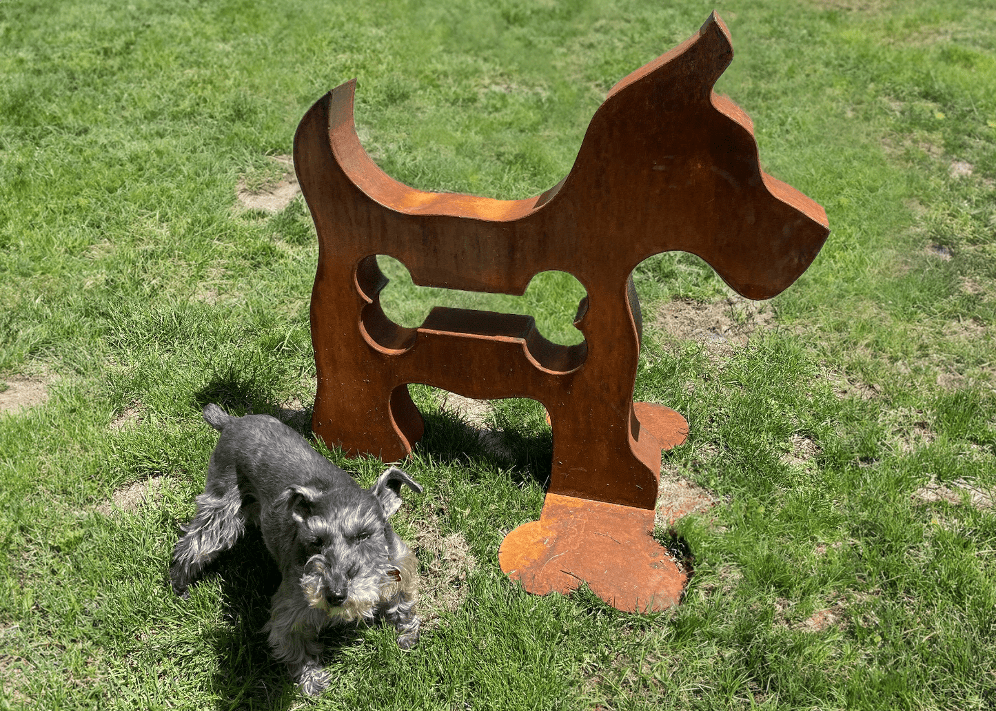 Toy dog