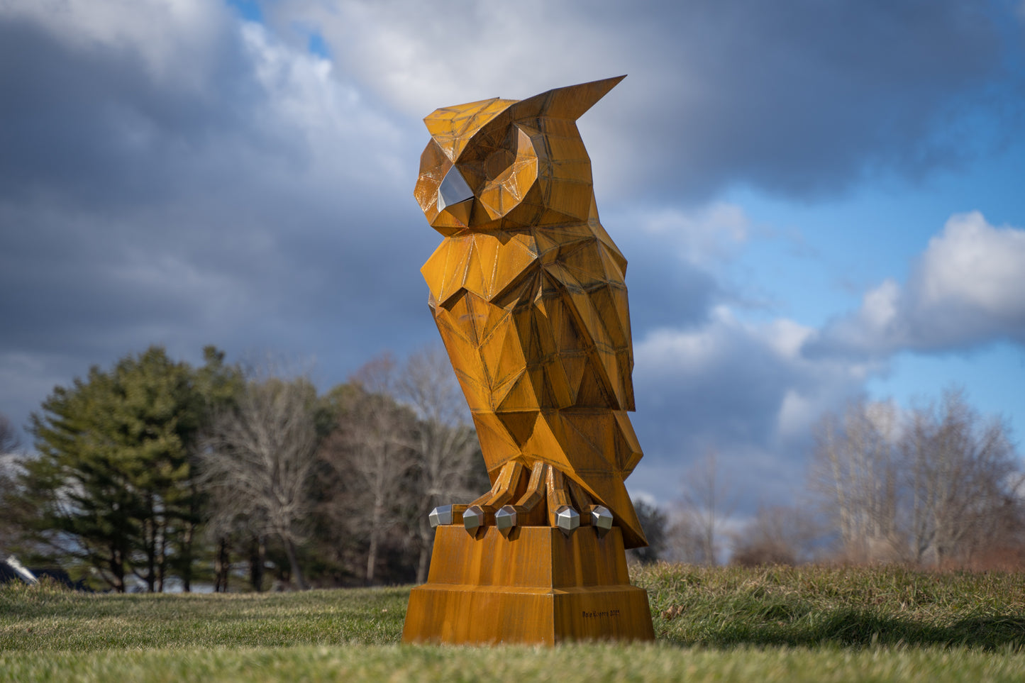 Wise Owl