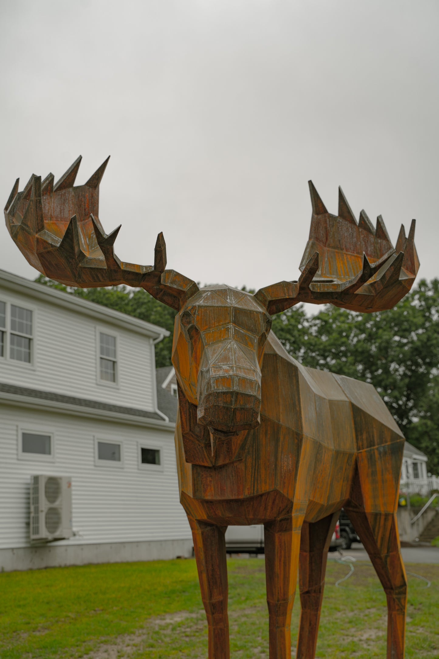 Moose