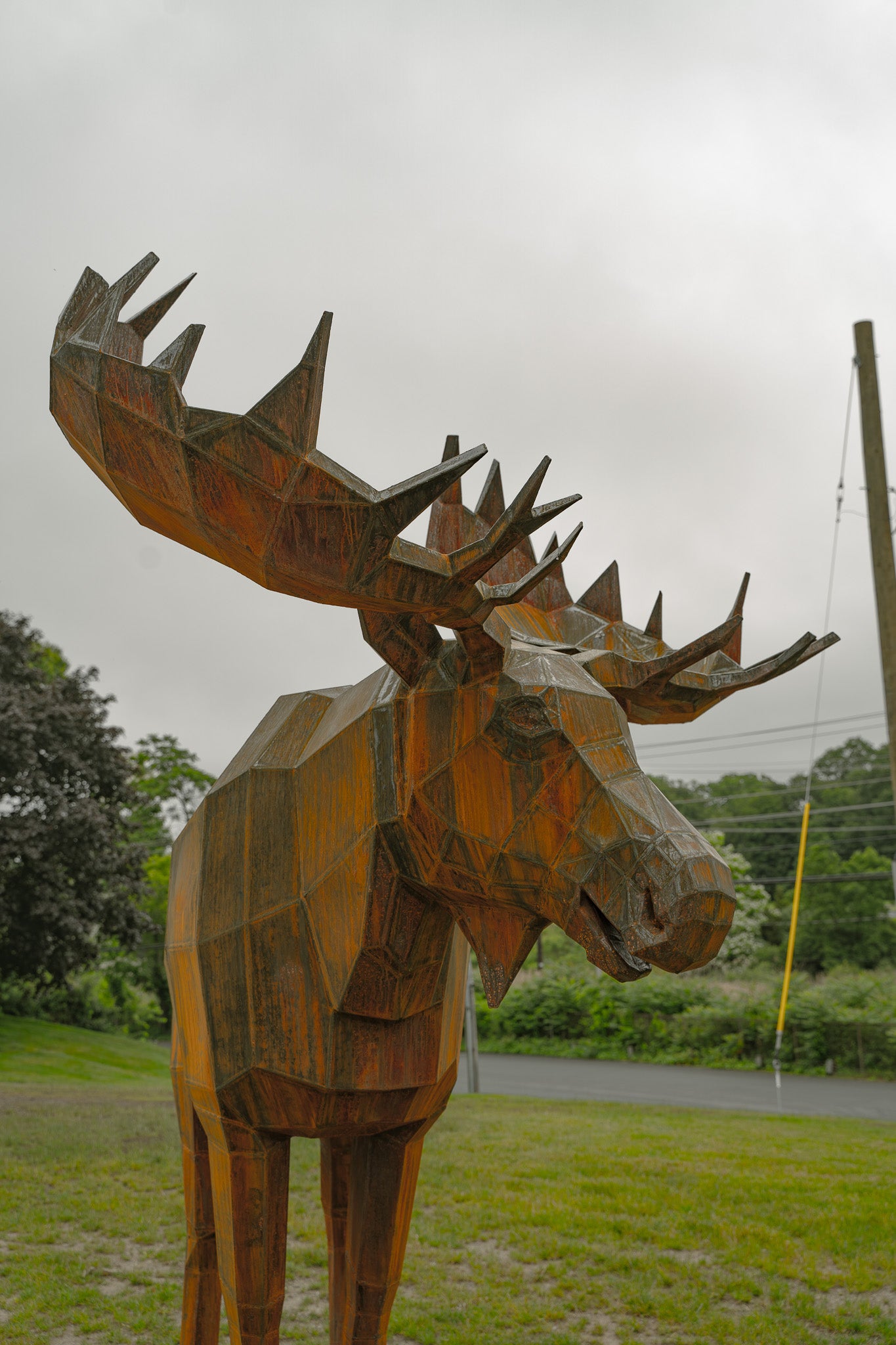 Moose