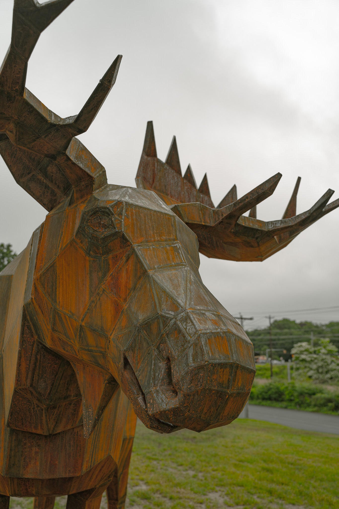 Moose