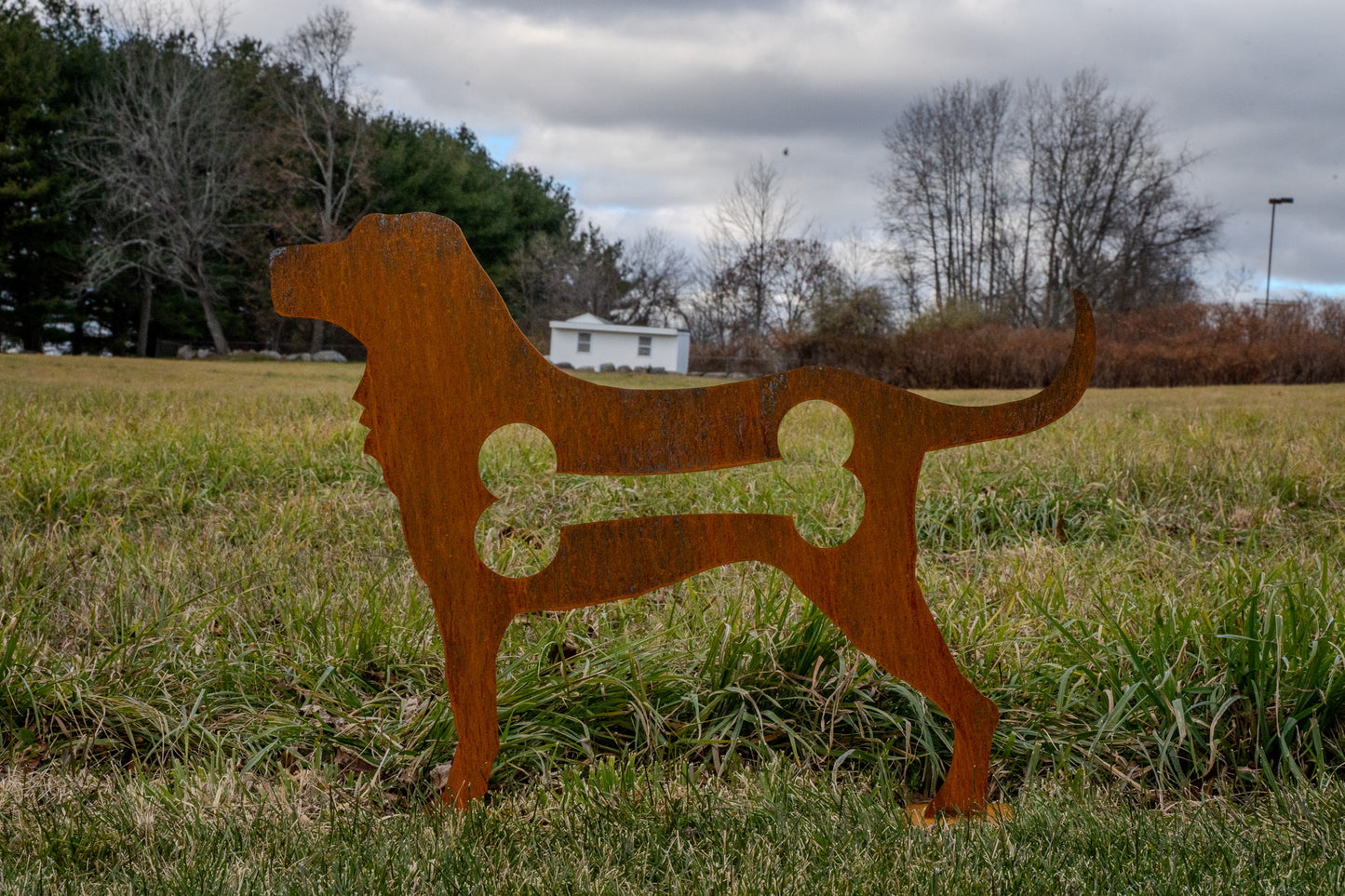 2 Foot American Dog - PICK UP ONLY -