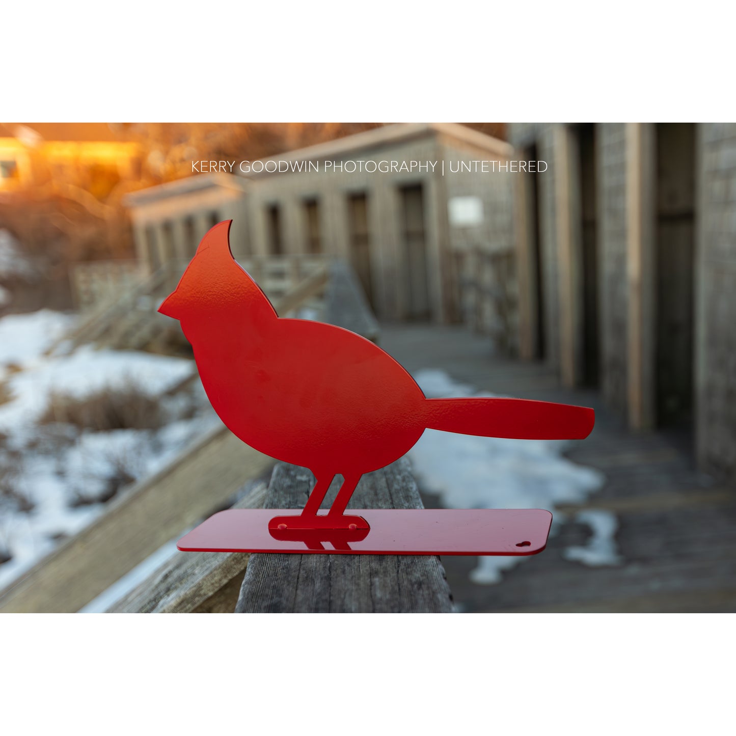 Cardinal