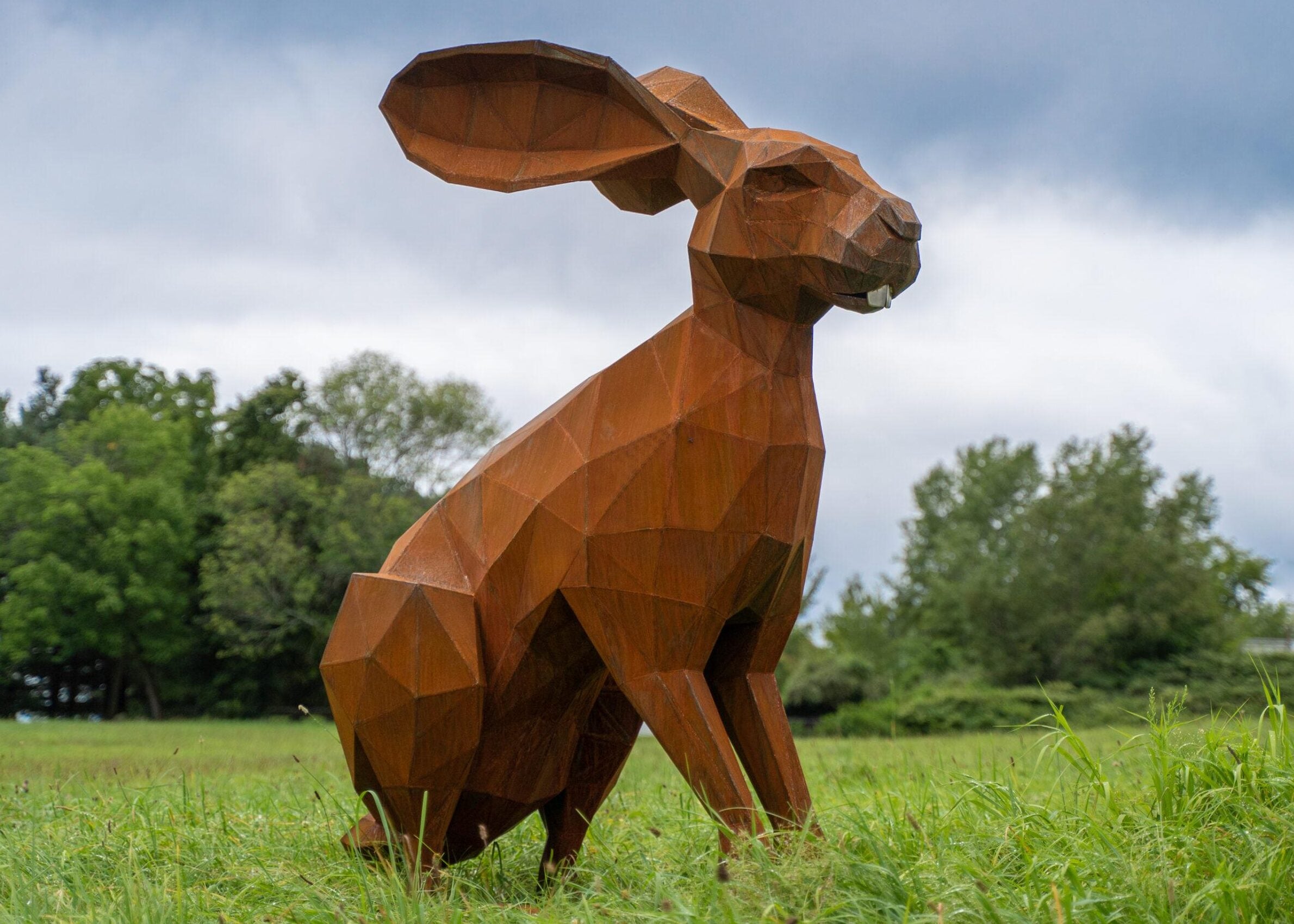 Jack Rabbit – Dale Rogers Studio