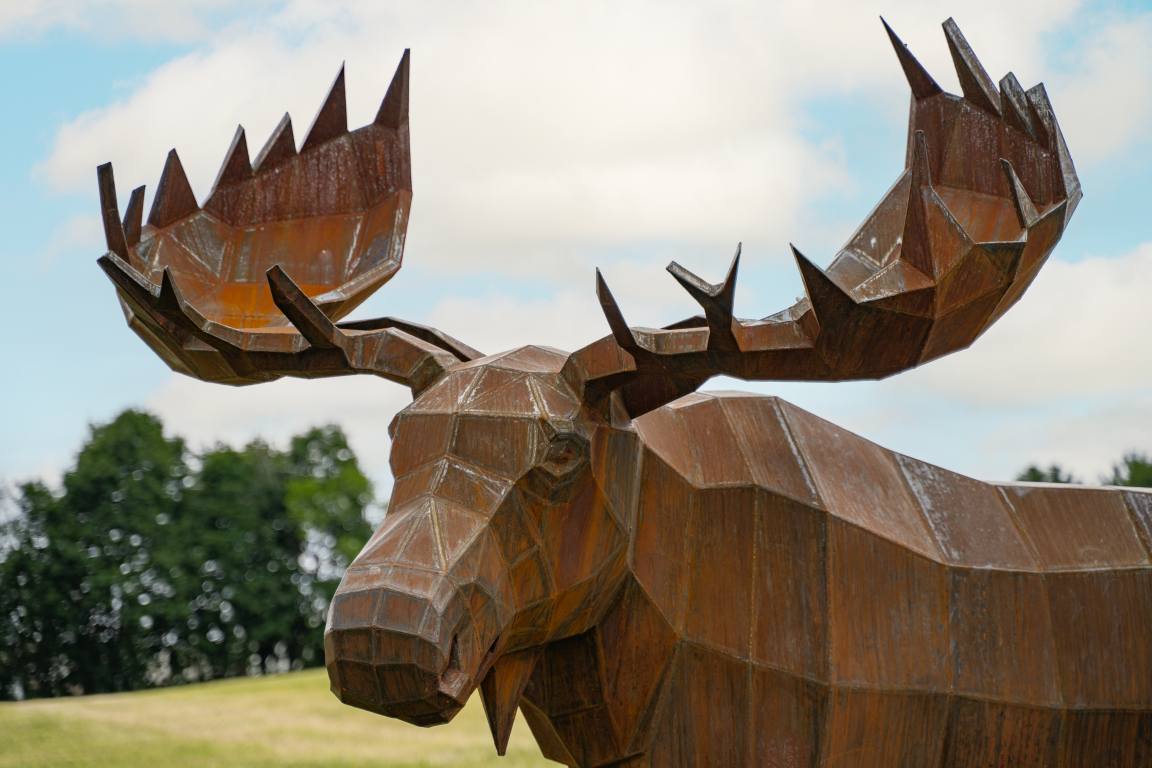 Moose