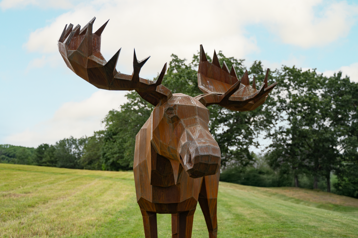 Moose