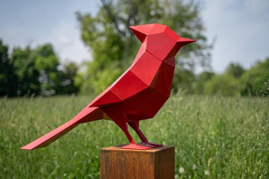 Sunrise Cardinal