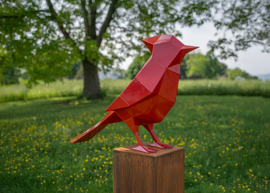 Sunrise Cardinal